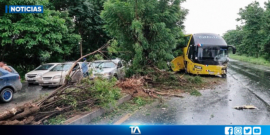 Cuatro Muertos Y Varios Heridos En Un Accidente De Tránsito En La Vía Guayaquil Salinas 7061