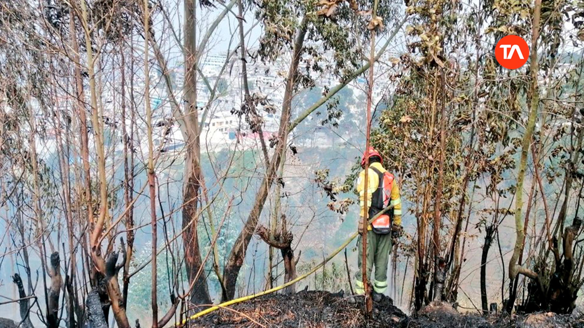 Quito Perdió 470 Hectáreas De Bosque Por Incendios Forestales Desde Junio