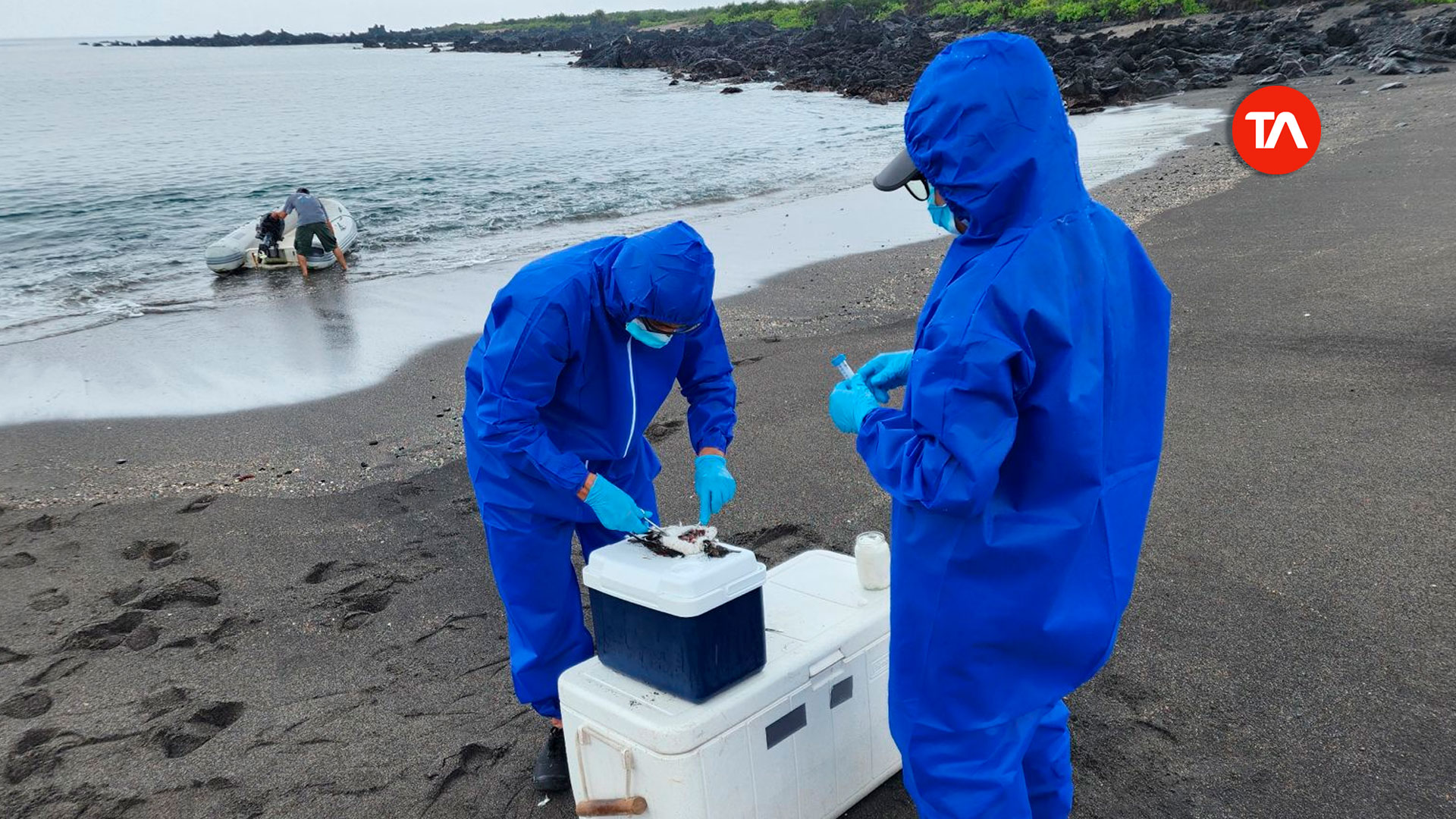 Two tourist areas in Galapagos reopen after ruling out flu cases